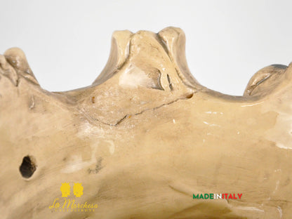 OUTLET - Testa di Moro Busto Nero Satinato in Ceramica di Caltagirone