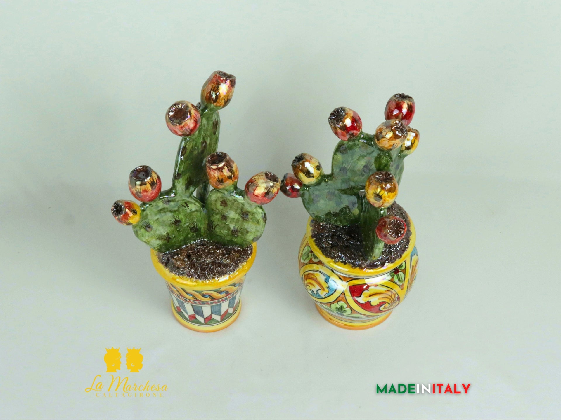 Pianta Fichi D'India Madreperla in Ceramica di Caltagirone - Vaso Retto